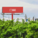 programmatic-digital-out-of-home-advertising